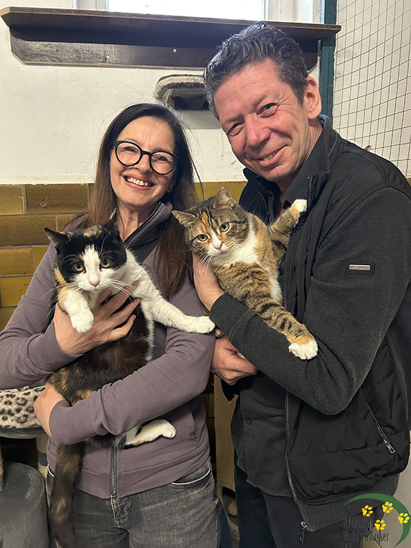 katzen aus tierheim brandenburg glücklich vermittelt
