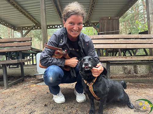hund Calina vermittelt