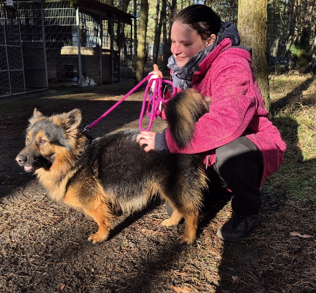 barny hund aus tierheim 4