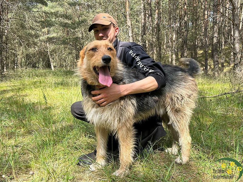 Tabaluga - Hund aus dem Tierheim Verlorenwasser in Brandenburg