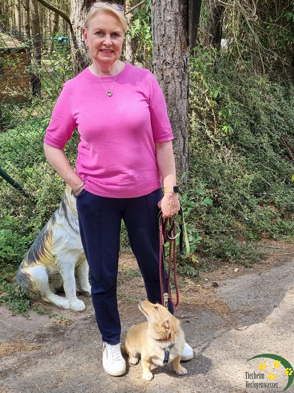 Tasha, Tierheim Verlorenwasser, Bad Belzig