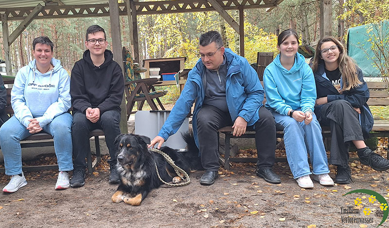 hund aus tierheim brandenburg bino 4