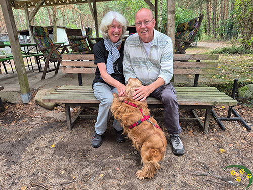 bella, Hund aus dem Tierheim