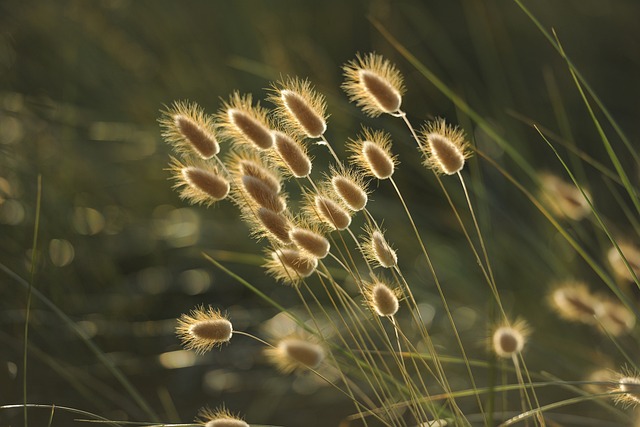 Tierheim Verlorenwasser - Sommer in Brandenburg