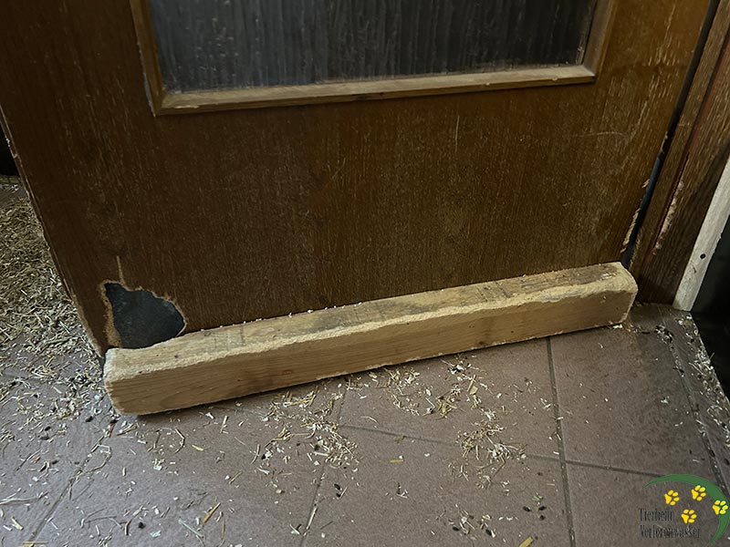 degus kleine zerstoerer