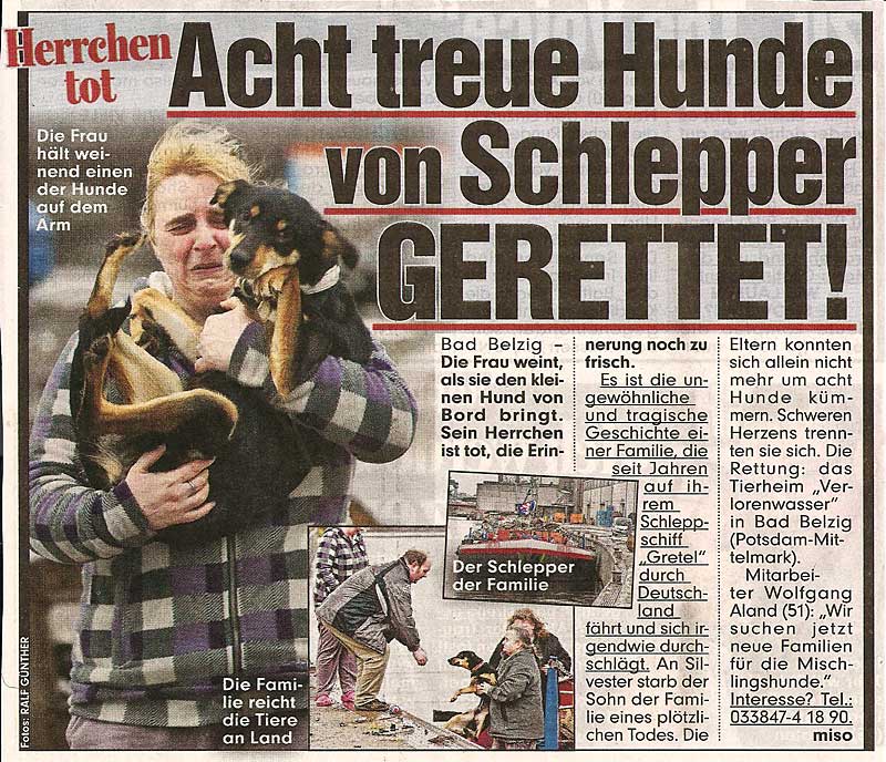 Notfall-Hunde auf Berliner Frachter