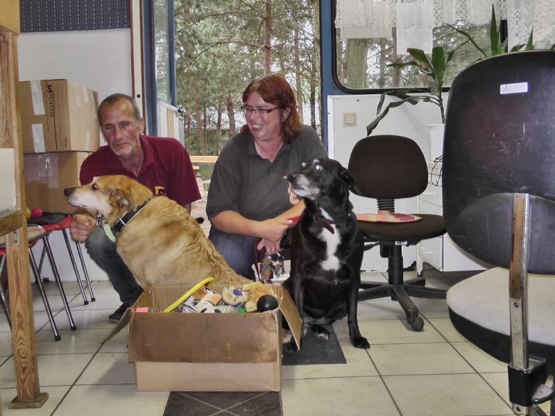 unerwartetegeschenke