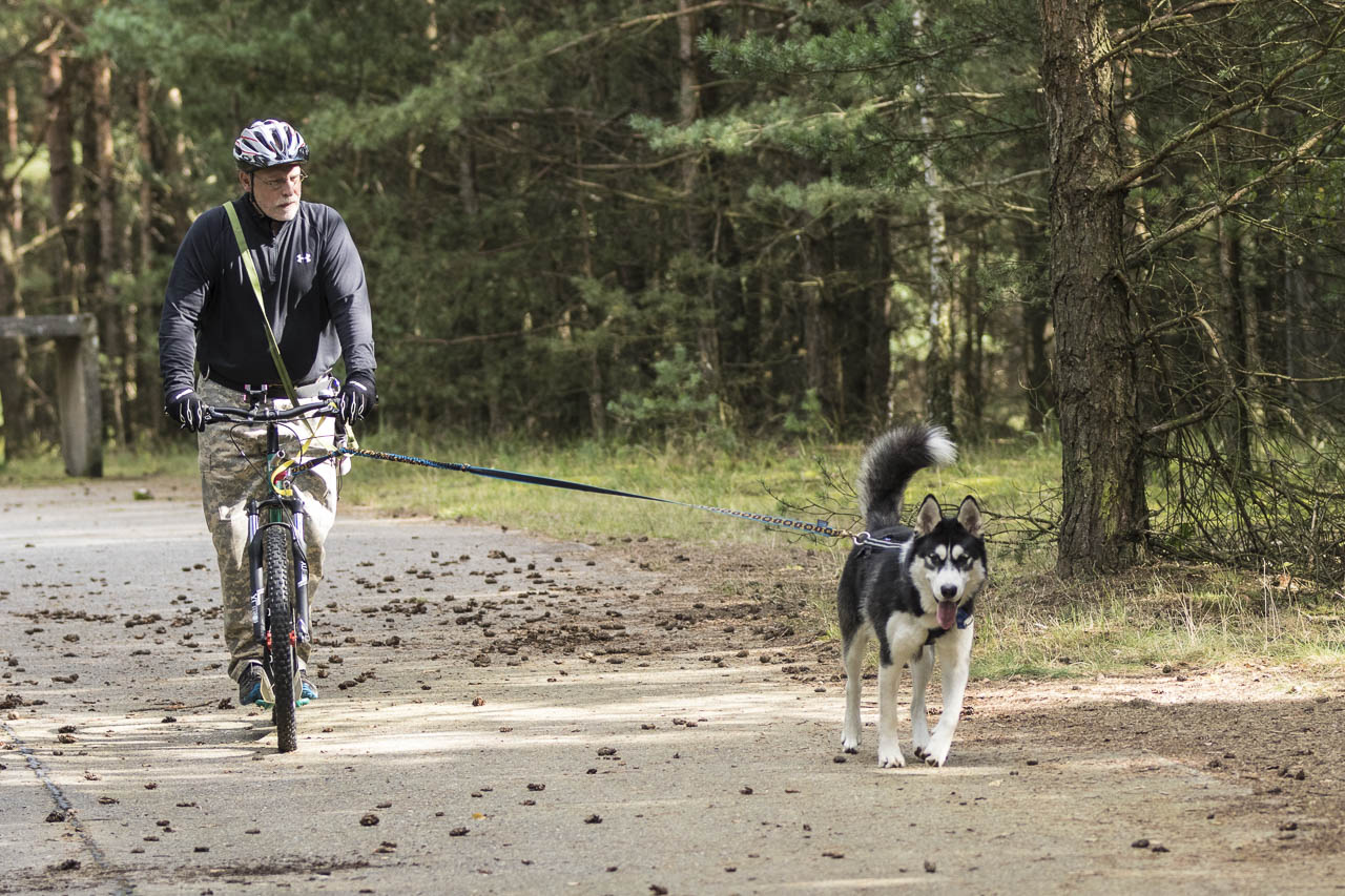 Dogscooter Team Verlorenwasser