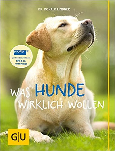 Buch bei Amazon bestellen