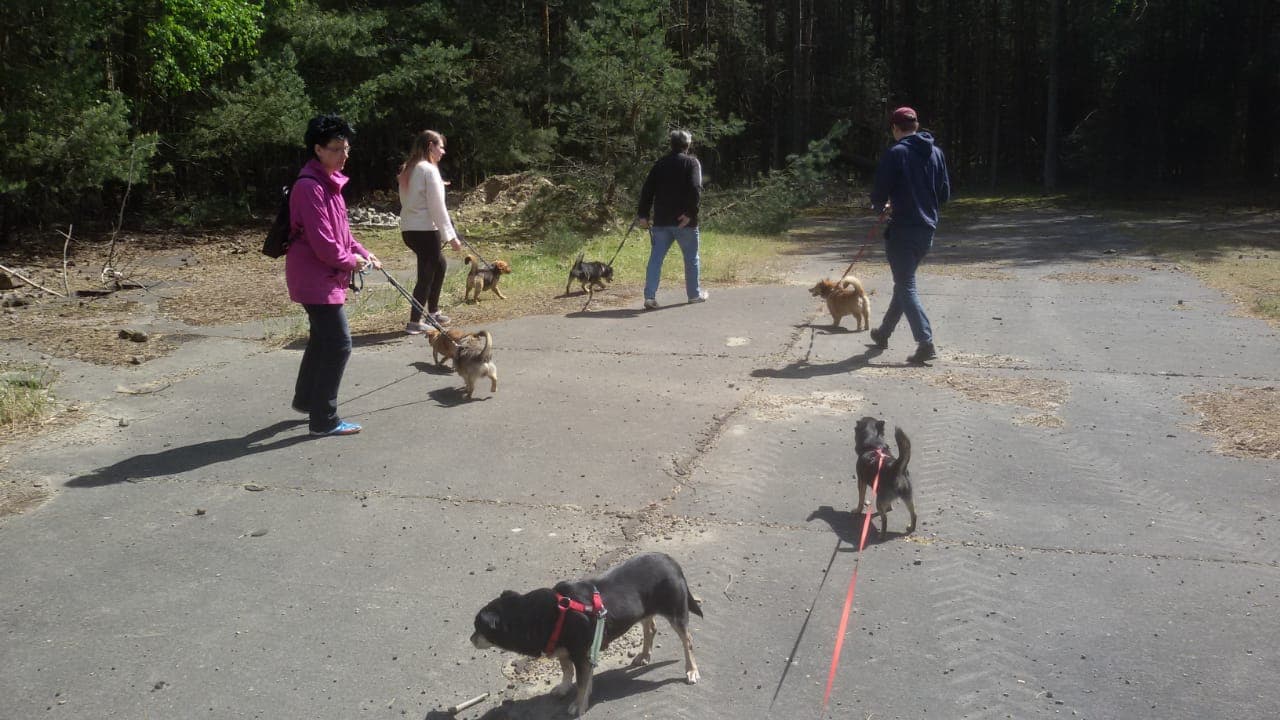 Wie man einen Tag voller Glück organisiert