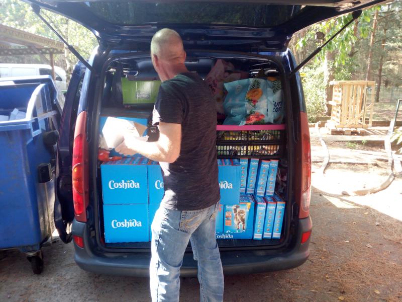 Versorgung von Streunerkatzen