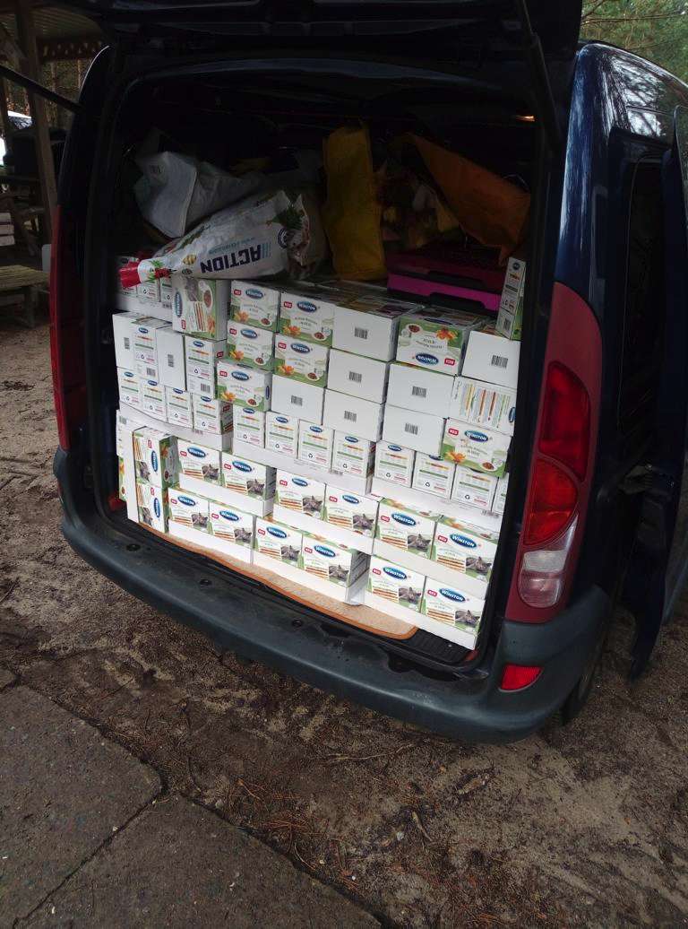 Futter für Streunerkatzen