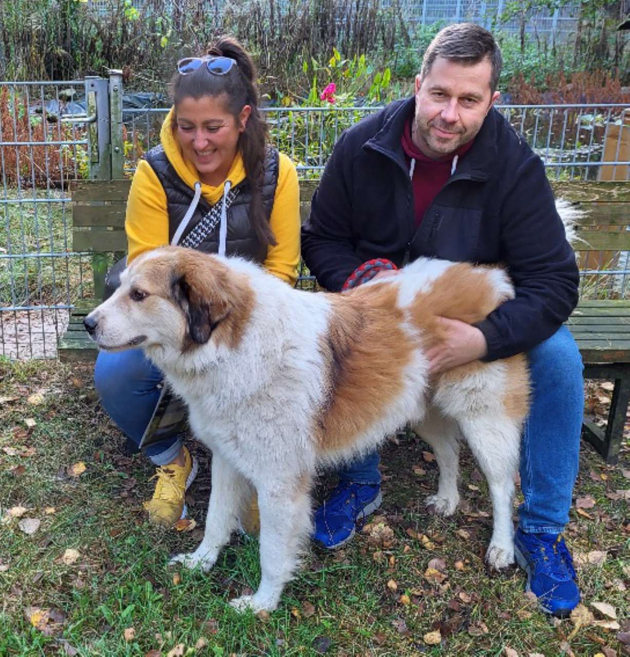 Stationen eines Hoffnungslosen