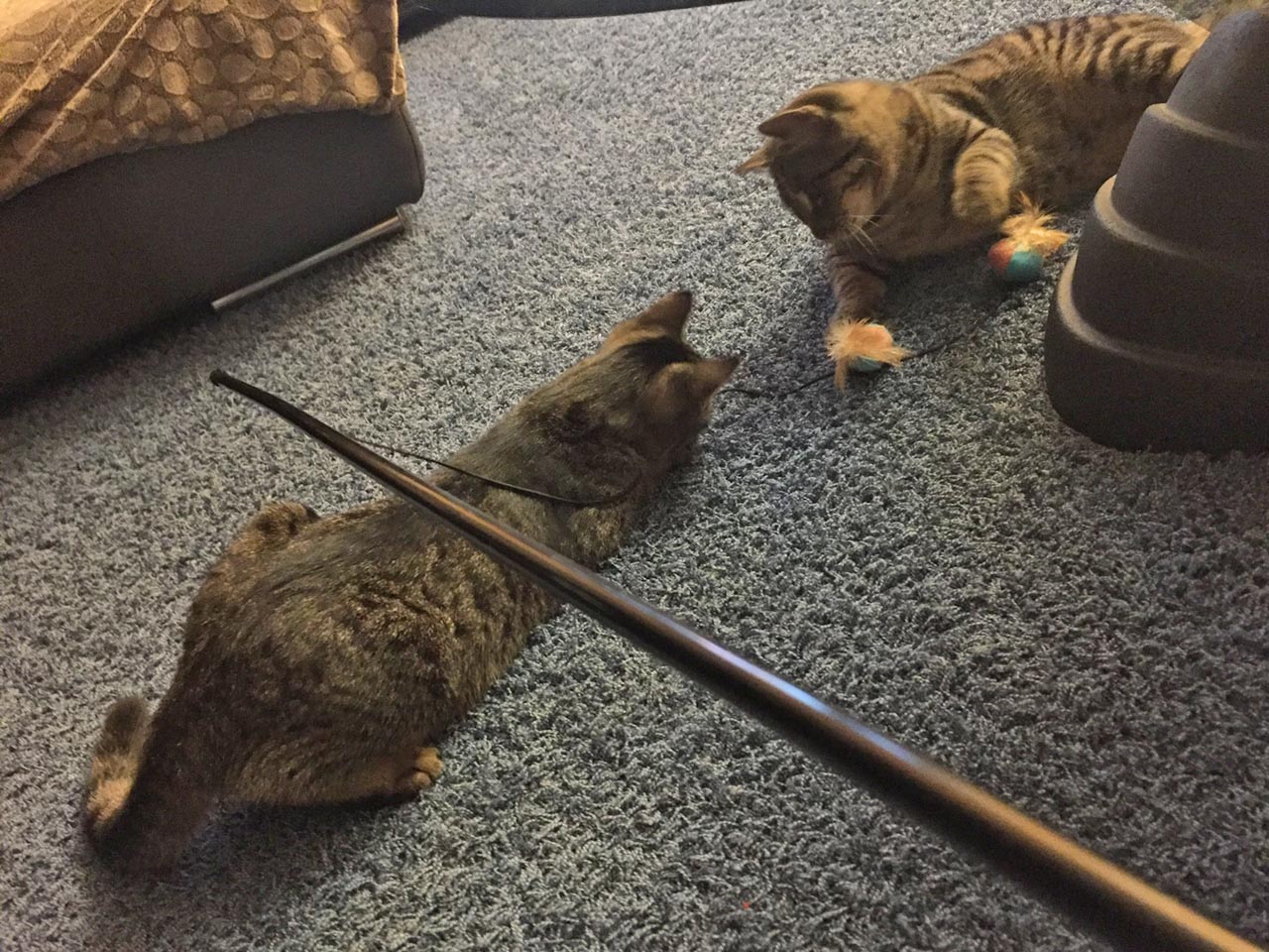 Winni Puh und Tigger