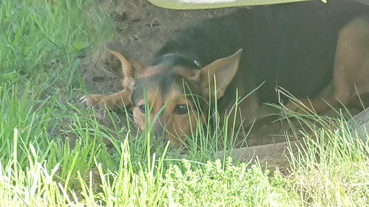 Drops, Fuchur und Lotti