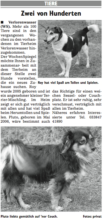 Wochenspiegel_KW44