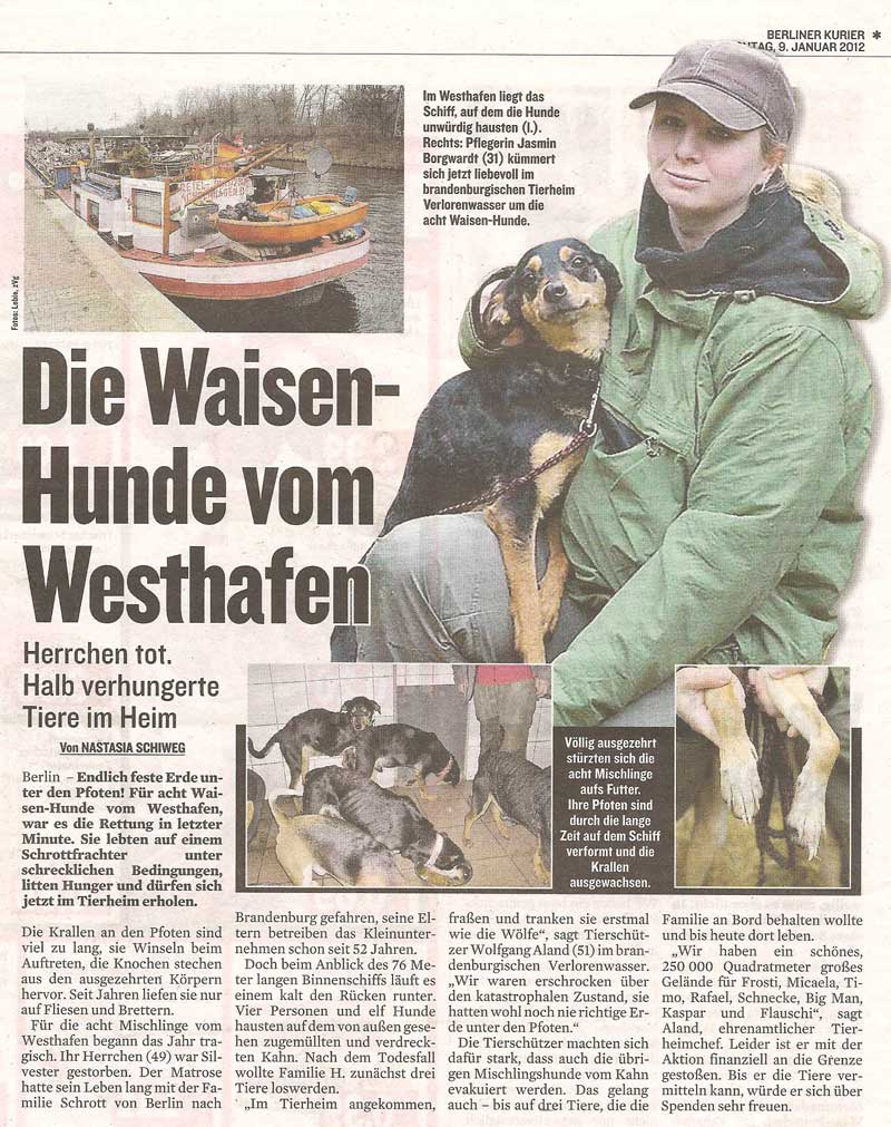 berlinerkurier frachterhunde