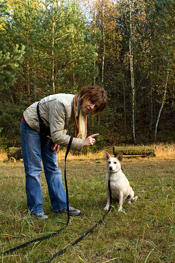 Hundetraining