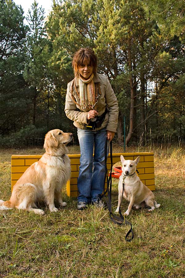 Hundetraining