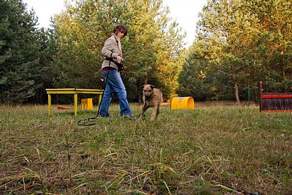 Hundetraining