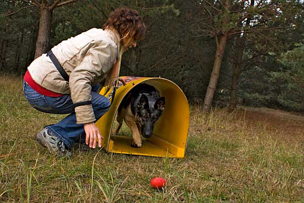 Hundetraining