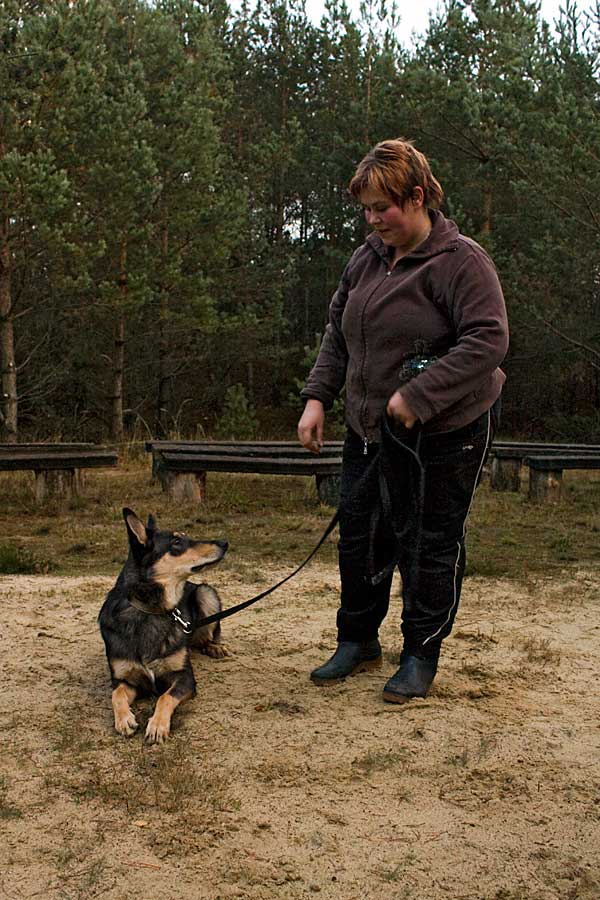 Hundetraining