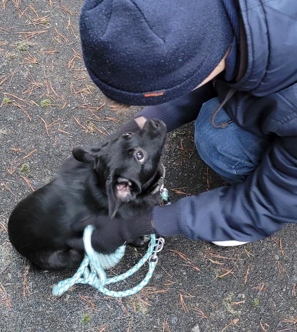 hund dotti aus dem tierheim 1