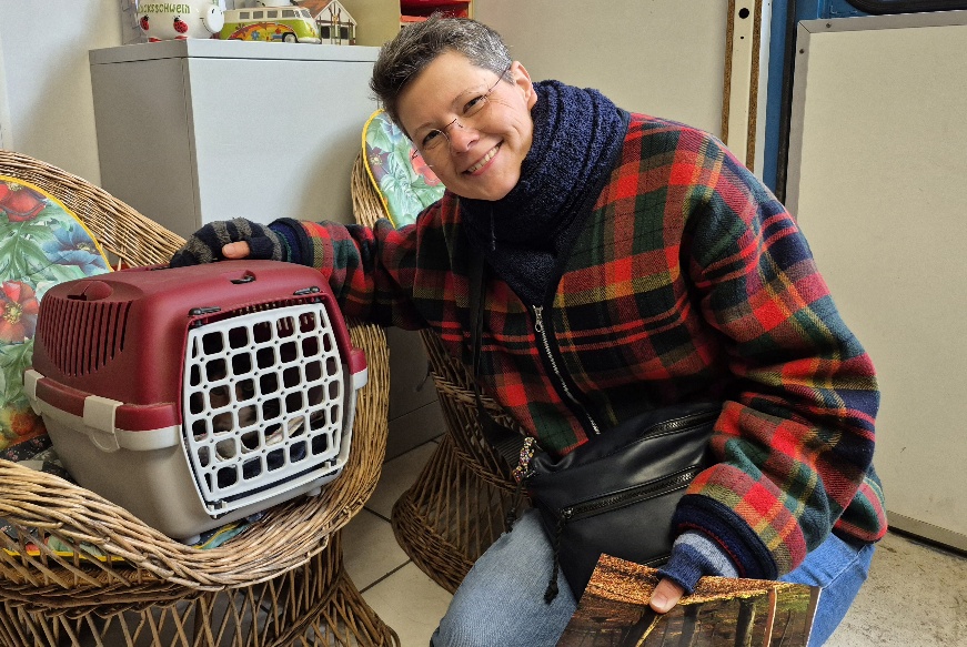katze aus tierheim brandenburg fleckchen 1