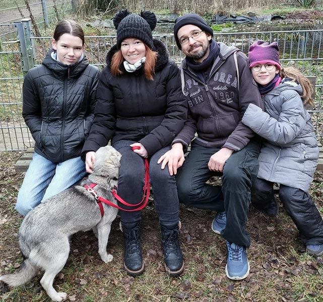 hund aus tierheim brandenburg elly 2