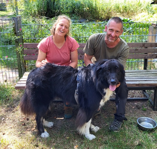 tierheimhund kiara - Tierheim Brandenburg, Berlin