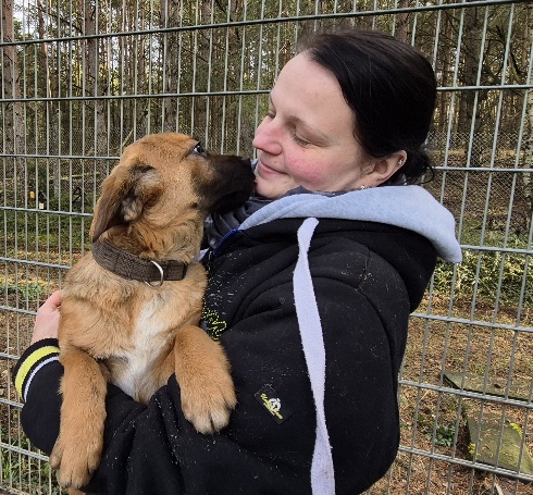 Nico - Hund aus dem Tierheim Verlorenwasser