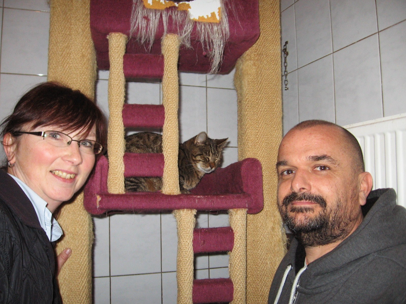 IMG 0303 2014-11-15 Lillyfee