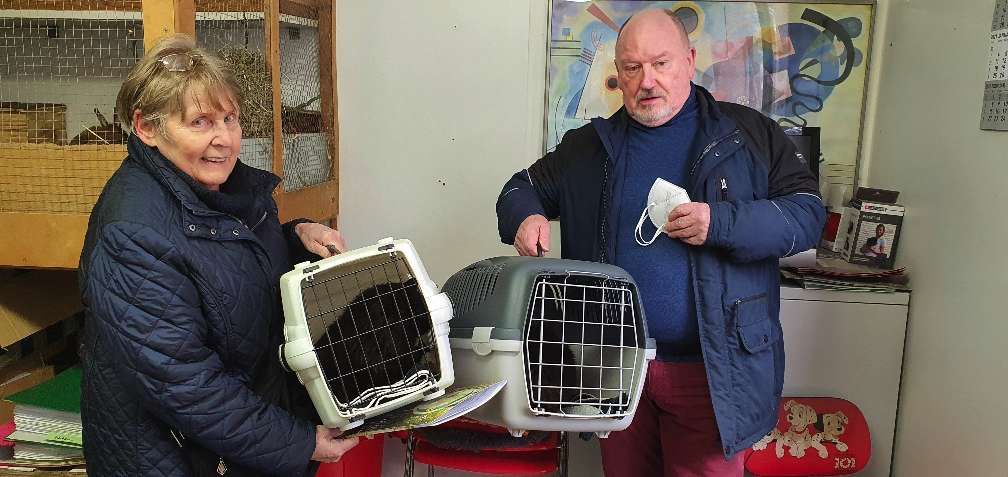 Scarlett und Duchess