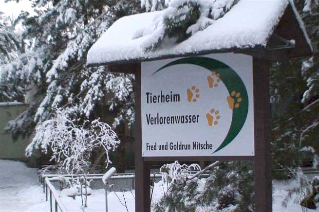 tierheim winter